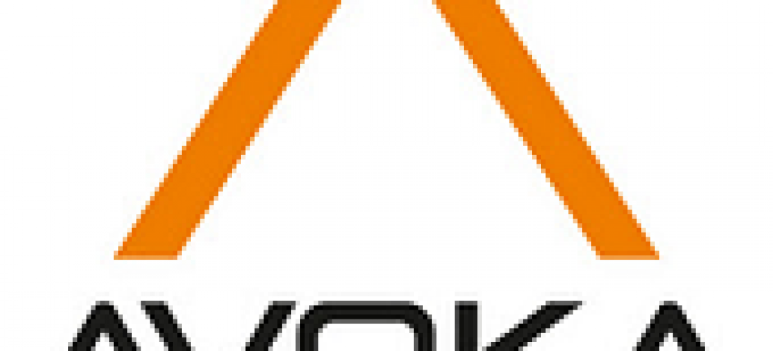 Avoka Enhances Transact Insights with Customer Journey Visualization