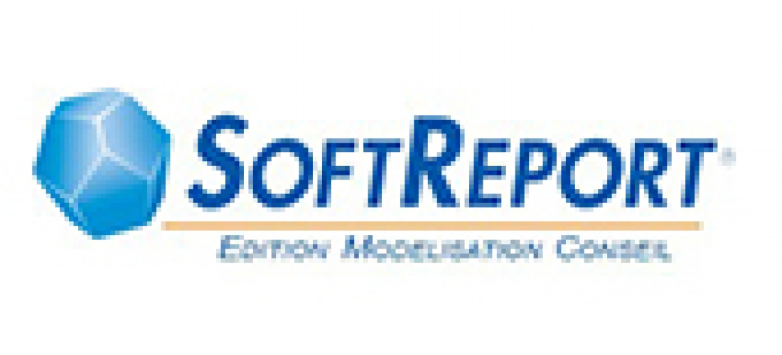 Soft Report